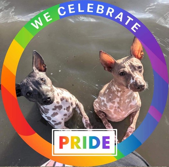 Meet your Posher, Emily - Picture 1 of 1